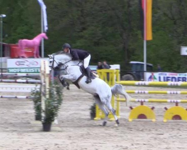 Dressur- und Springturnier Halver 2015