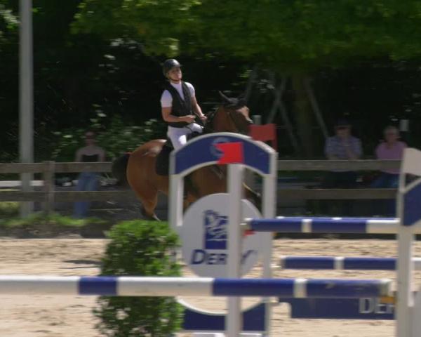 Concorso ippico Münster-Roxel 2026