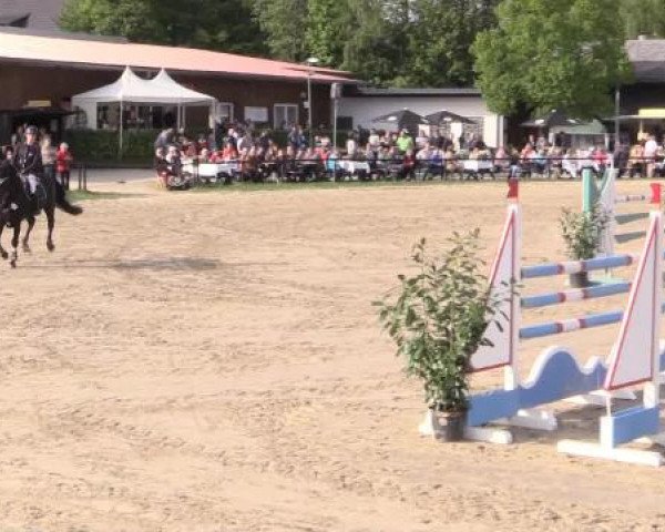 Dressur- und Springturnier Halver 2015