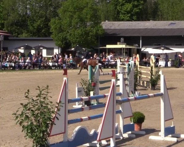 Dressur- und Springturnier Halver 2015