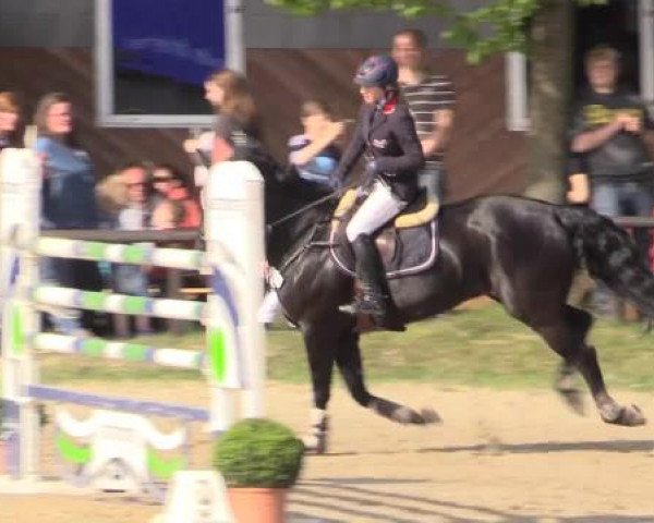 Dressur- und Springturnier Halver 2015