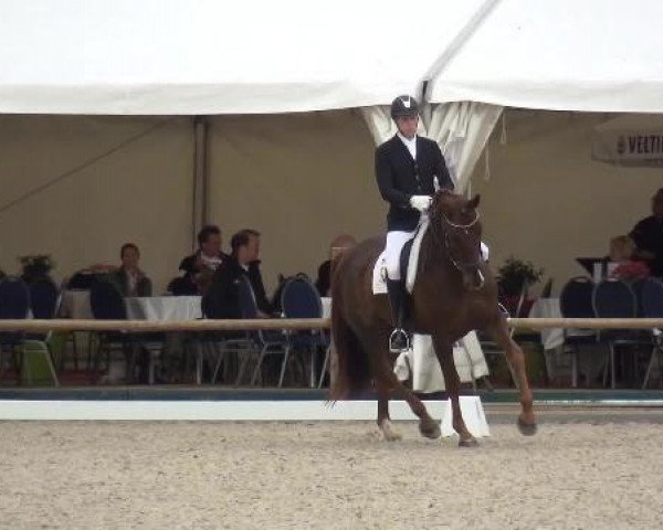 Holtkämper Dressurtage 2015