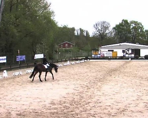 Lübecker Reitertage 2015