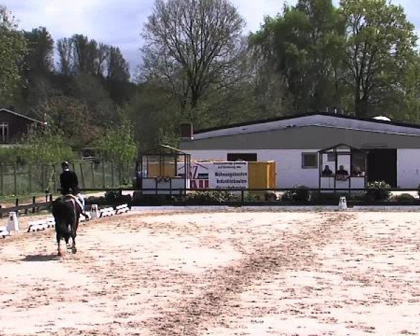 Lübecker Reitertage 2015