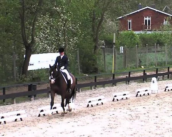 Lübecker Reitertage 2015