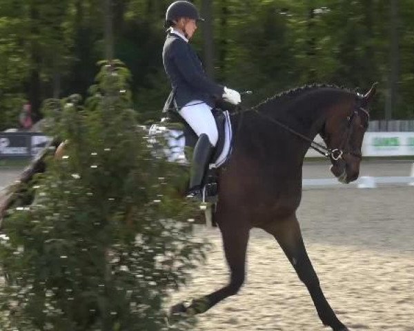 Holtkämper Dressurtage 2015