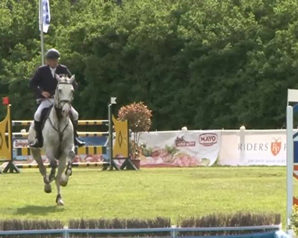 Lübecker Reitertage 2015