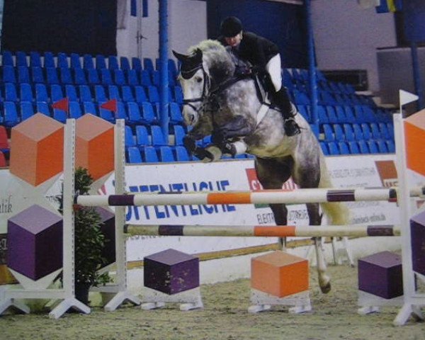 jumper Nioro du Sahel Hk (Hanoverian, 2011, from Now Or Never M)
