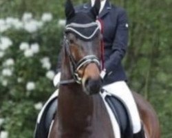 dressage horse Depeche Mode 13 (Hanoverian, 2014, from De Niro)