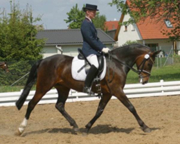 broodmare Top Ten (German Riding Pony, 1996, from Top Nordpol)