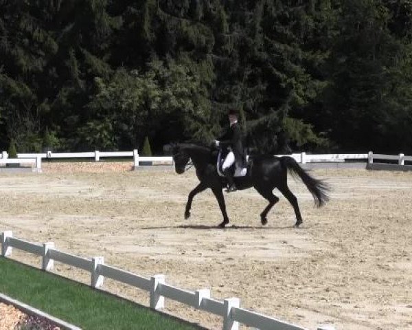 Dressur- und Springturnier Halver 2015