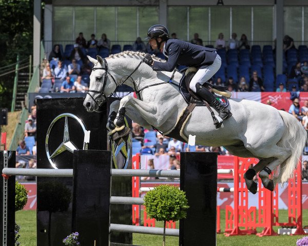 stallion DSP Con Spirit (Bavarian, 2006, from Cornet Obolensky)