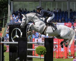 stallion DSP Con Spirit (Bavarian, 2006, from Cornet Obolensky)
