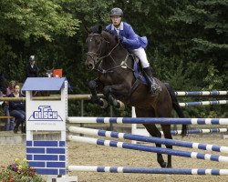 Springpferd Claus L (Holsteiner, 2009, von Claudio)