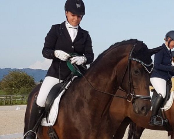 dressage horse Laudis (Westphalian, 2010, from Laudabilis)