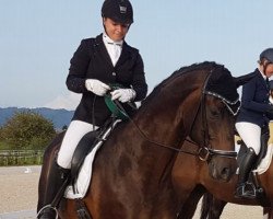 dressage horse Laudis (Westphalian, 2010, from Laudabilis)