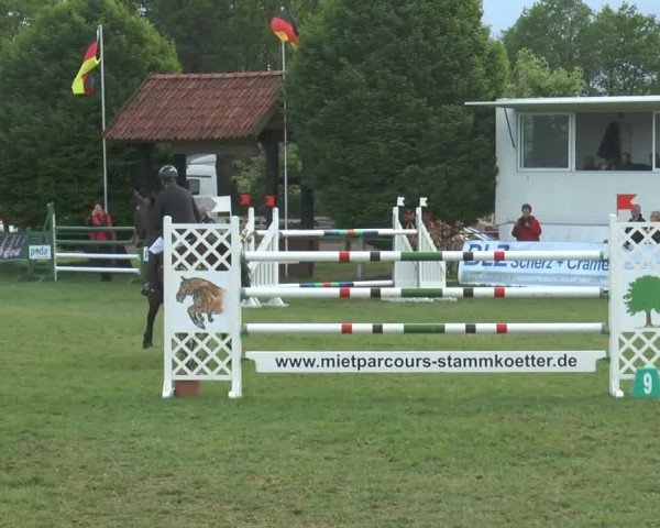 Großes Reit- und Springturnier Lienen 2015