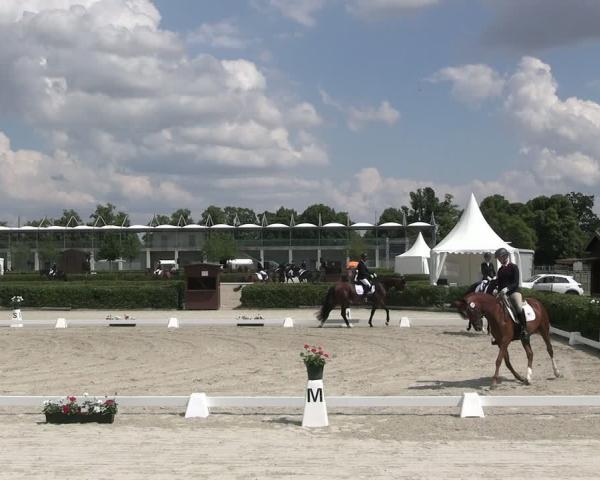 Concorso ippico Neustadt/Dosse 2026