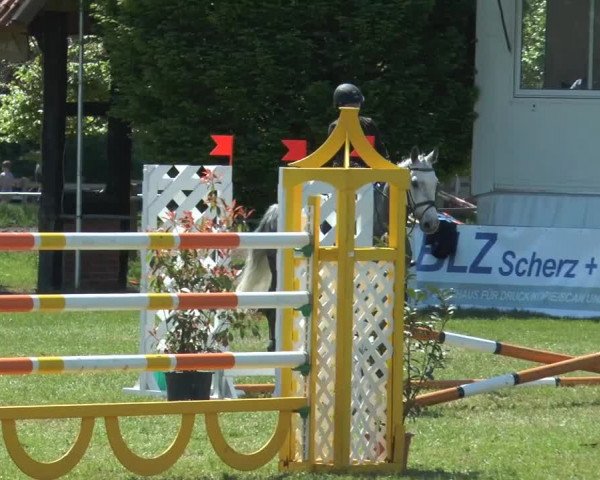 Großes Reit- und Springturnier Lienen 2015