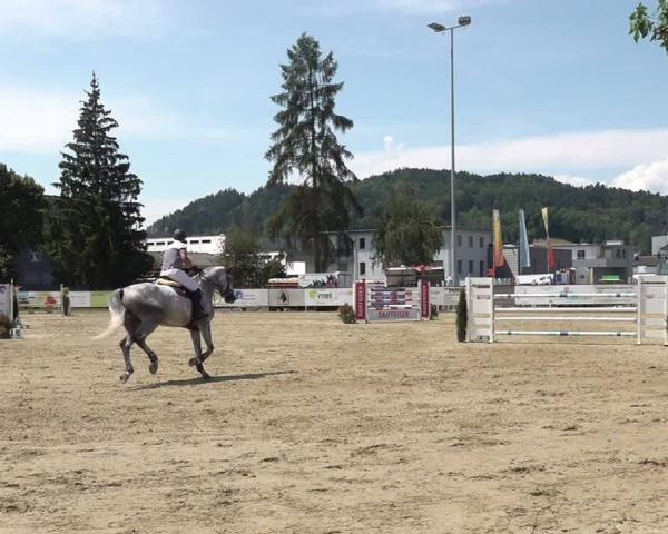 Reitturnier Dagmersellen 2026
