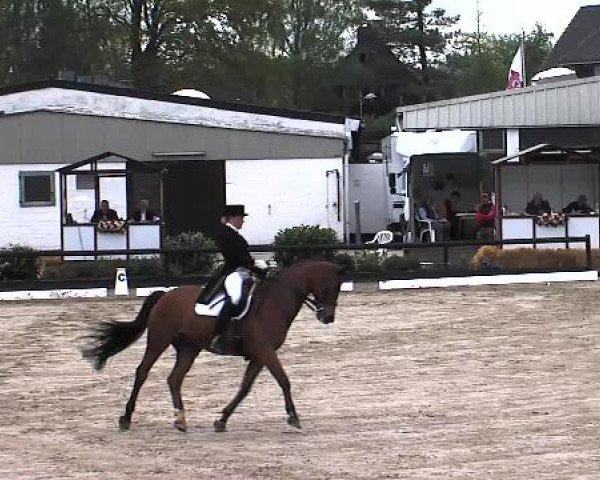Lübecker Reitertage 2015