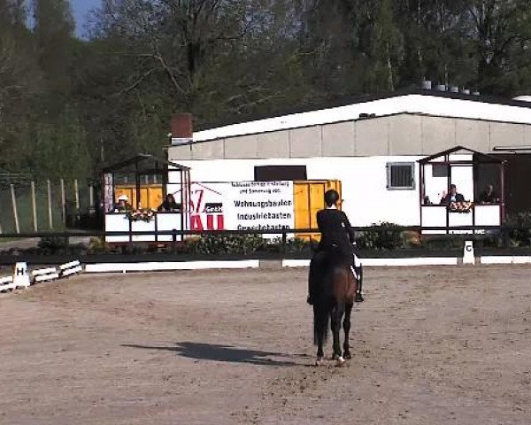 Lübecker Reitertage 2015