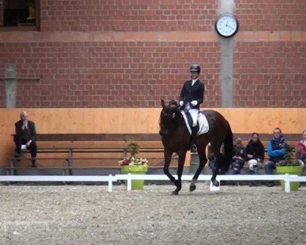 Holtkämper Dressurtage 2015