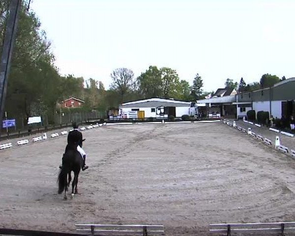 Lübecker Reitertage 2015