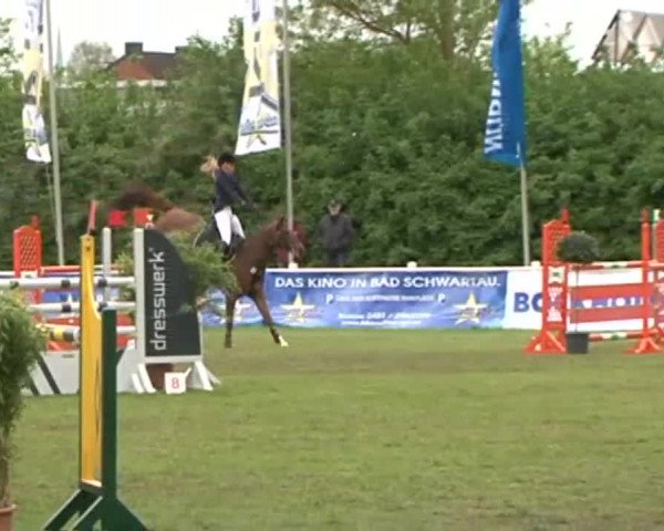 Lübecker Reitertage 2015
