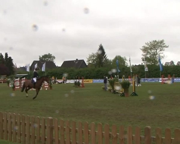 Lübecker Reitertage 2015
