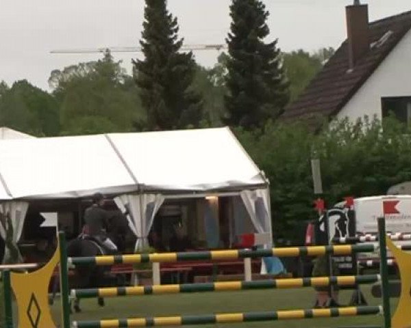 Lübecker Reitertage 2015