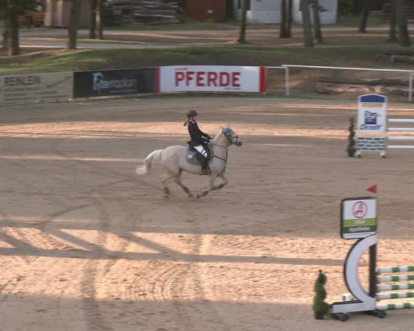 Concorso ippico Stadl Paura 2026