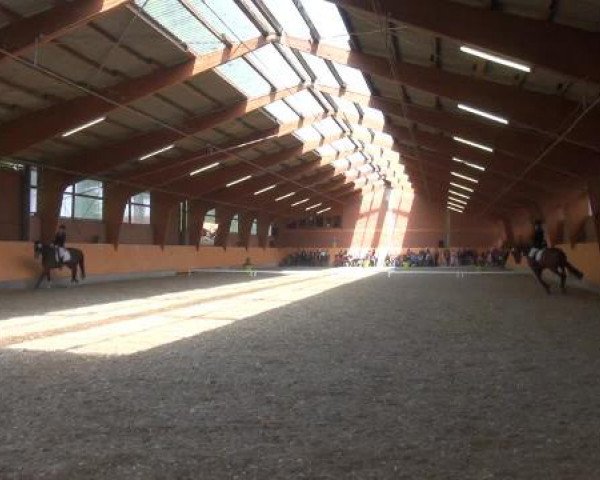 Holtkämper Dressurtage 2015