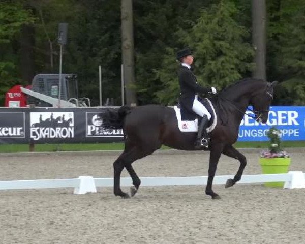 Holtkämper Dressurtage 2015
