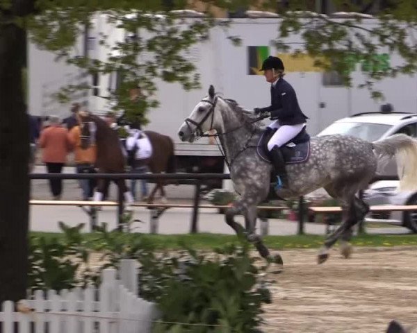 Dressur- und Springturnier Halver 2015