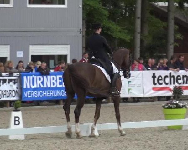 Holtkämper Dressurtage 2015