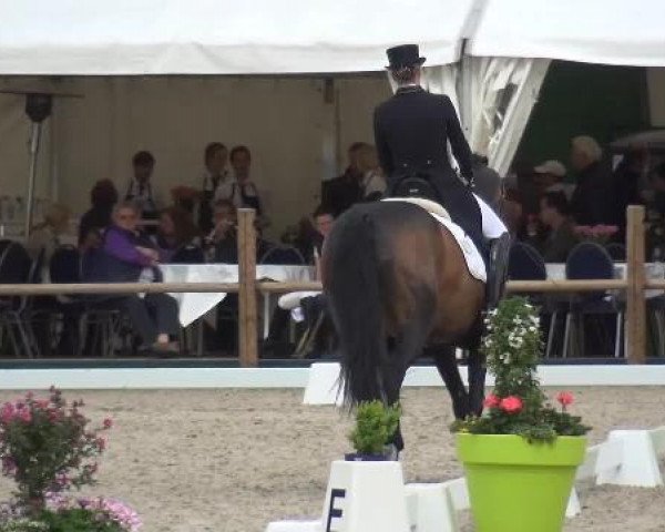 Holtkämper Dressurtage 2015