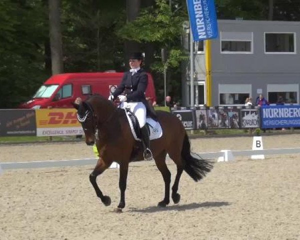Holtkämper Dressurtage 2015