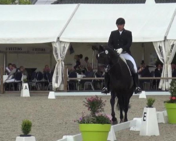 Holtkämper Dressurtage 2015