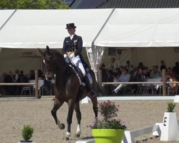 Holtkämper Dressurtage 2015