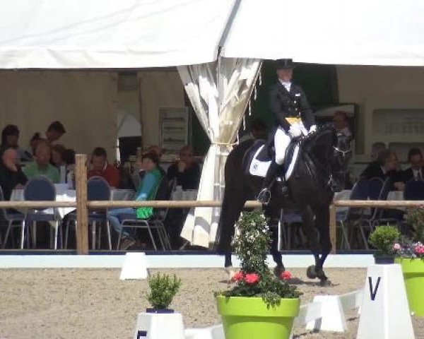 Holtkämper Dressurtage 2015