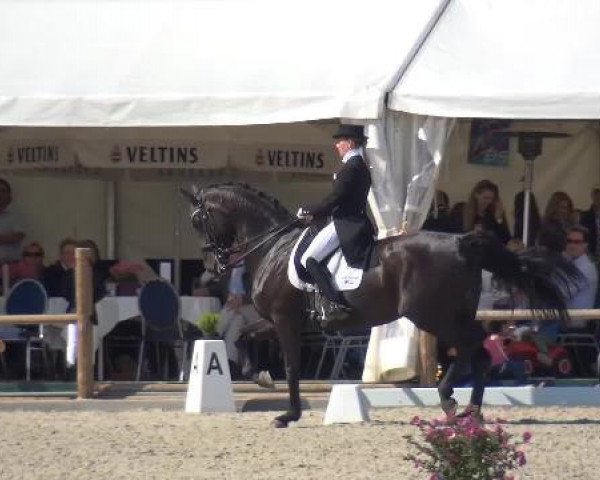 Holtkämper Dressurtage 2015