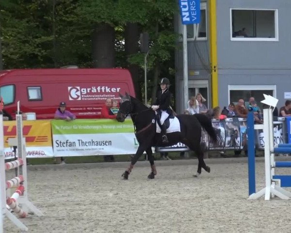 Holtkämper Dressurtage 2015