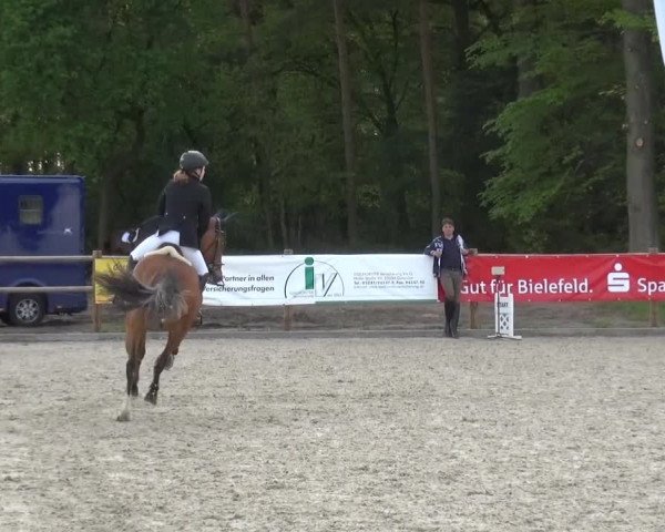 Holtkämper Dressurtage 2015