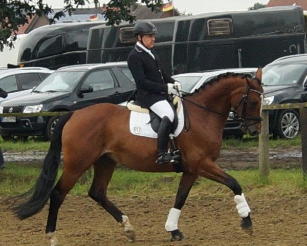 dressage horse Lieblingsstück 2 (Westphalian, 2011, from Lissaro)