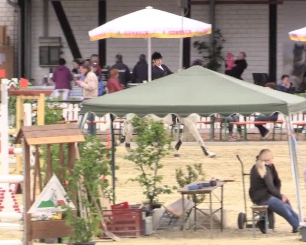 Reit - und Springturnier Hamm-Rhynern 2015