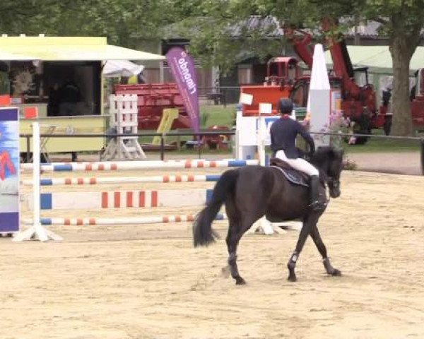 Reit - und Springturnier Hamm-Rhynern 2015