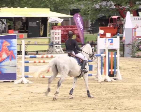 Reit - und Springturnier Hamm-Rhynern 2015