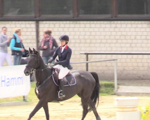 Reit - und Springturnier Hamm-Rhynern 2015