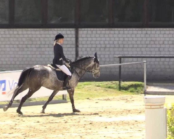 Reit - und Springturnier Hamm-Rhynern 2015